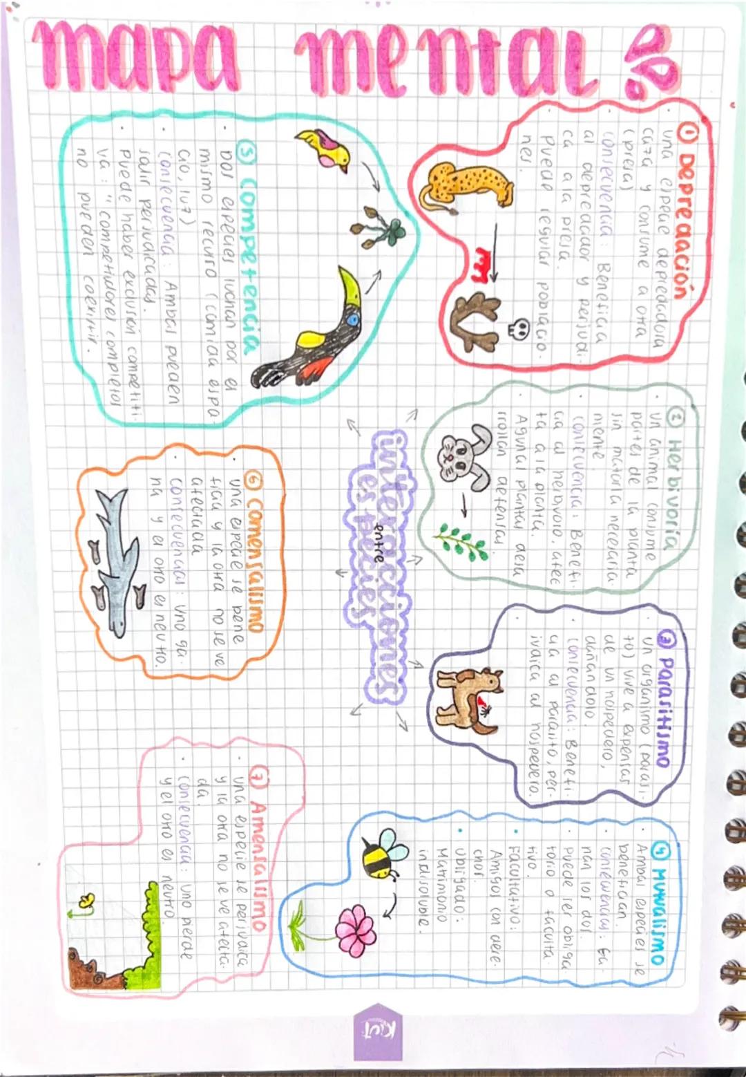 Interacciones entre especies