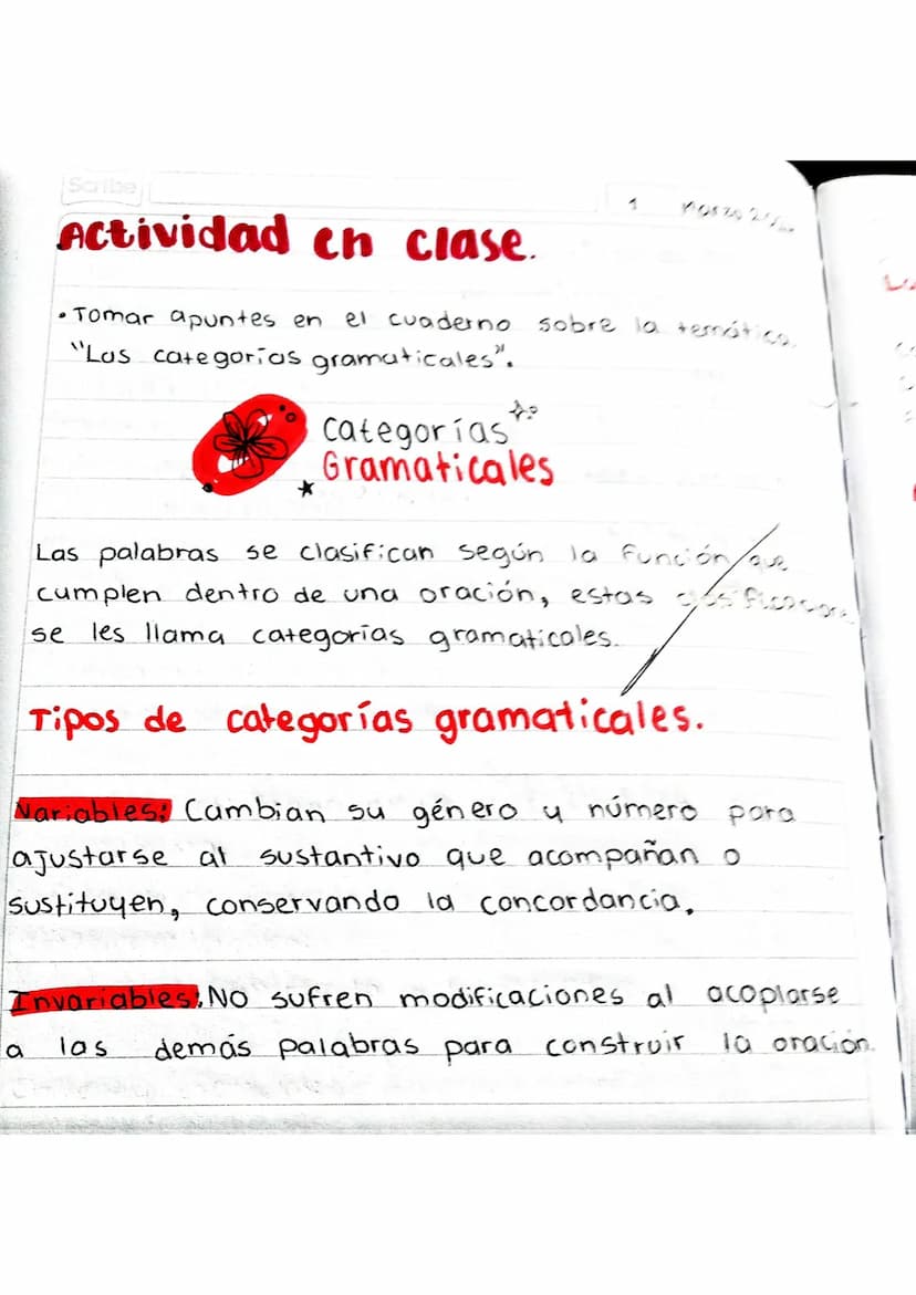 Scribe
Actividad en clase.
• Tomar apuntes en el cuaderno sobre la temática,
"Las categorías gramaticales".
Categorías
Gramaticales
Función/