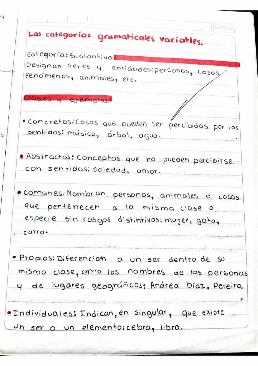 Scribe
Actividad en clase.
• Tomar apuntes en el cuaderno sobre la temática,
"Las categorías gramaticales".
Categorías
Gramaticales
Función/