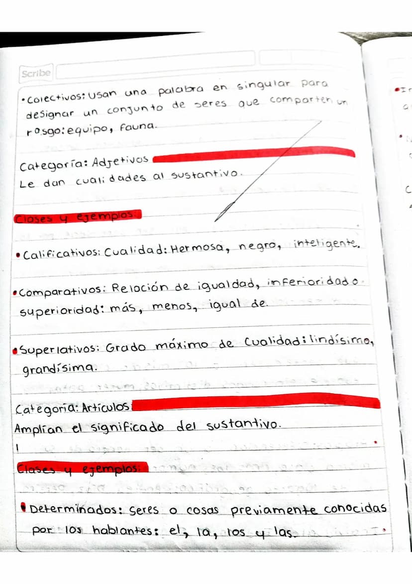 Scribe
Actividad en clase.
• Tomar apuntes en el cuaderno sobre la temática,
"Las categorías gramaticales".
Categorías
Gramaticales
Función/