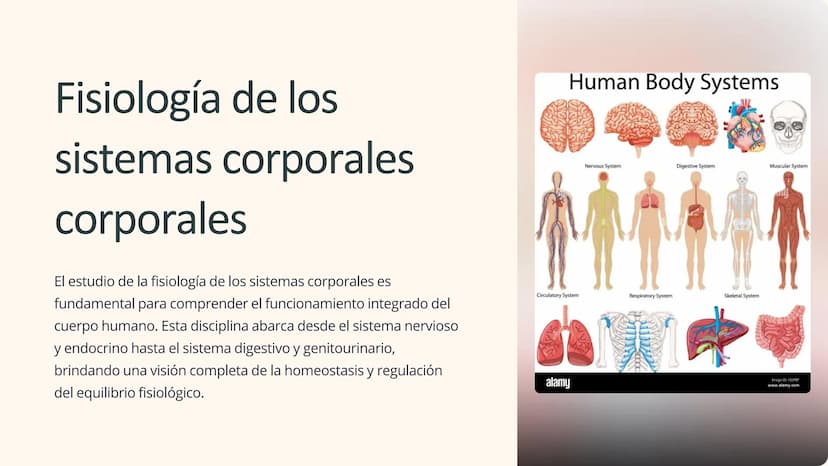 Human Body Systems
Fisiología de los
sistemas corporales
corporales
El estudio de la fisiología de los sistemas corporales es
fundamental pa