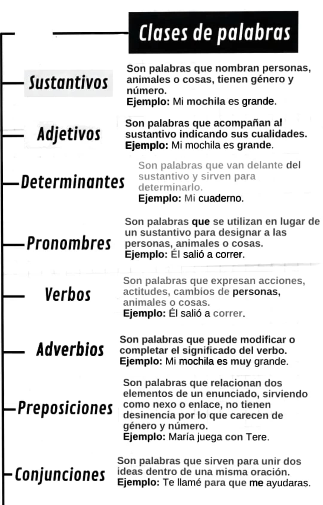 Sustantivos
Adjetivos
Clases de palabras
Son palabras que nombran personas,
animales o cosas, tienen género y
número.
Ejemplo: Mi mochila es