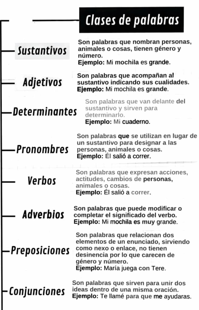 Sustantivos
Adjetivos
Clases de palabras
Son palabras que nombran personas,
animales o cosas, tienen género y
número.
Ejemplo: Mi mochila es