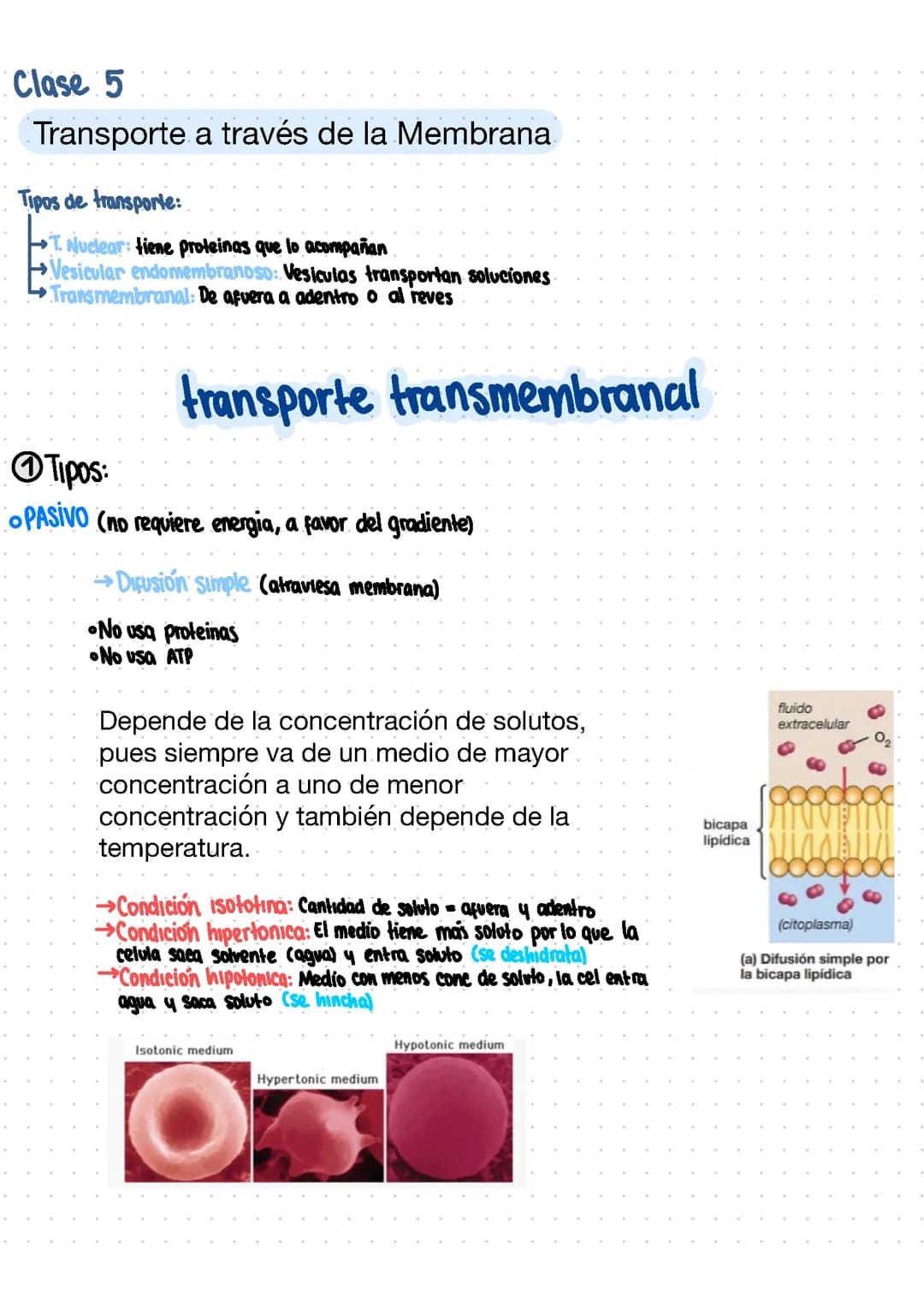TRANSPORTE MEMBRANAL