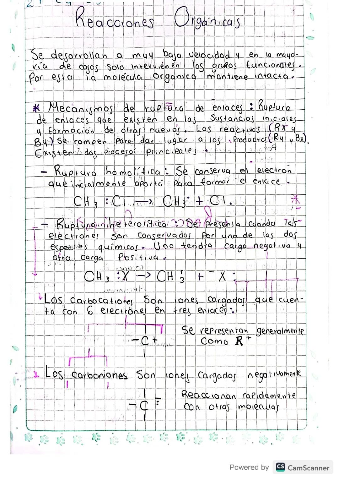 Tipos y características de Reacciones Orgánicas