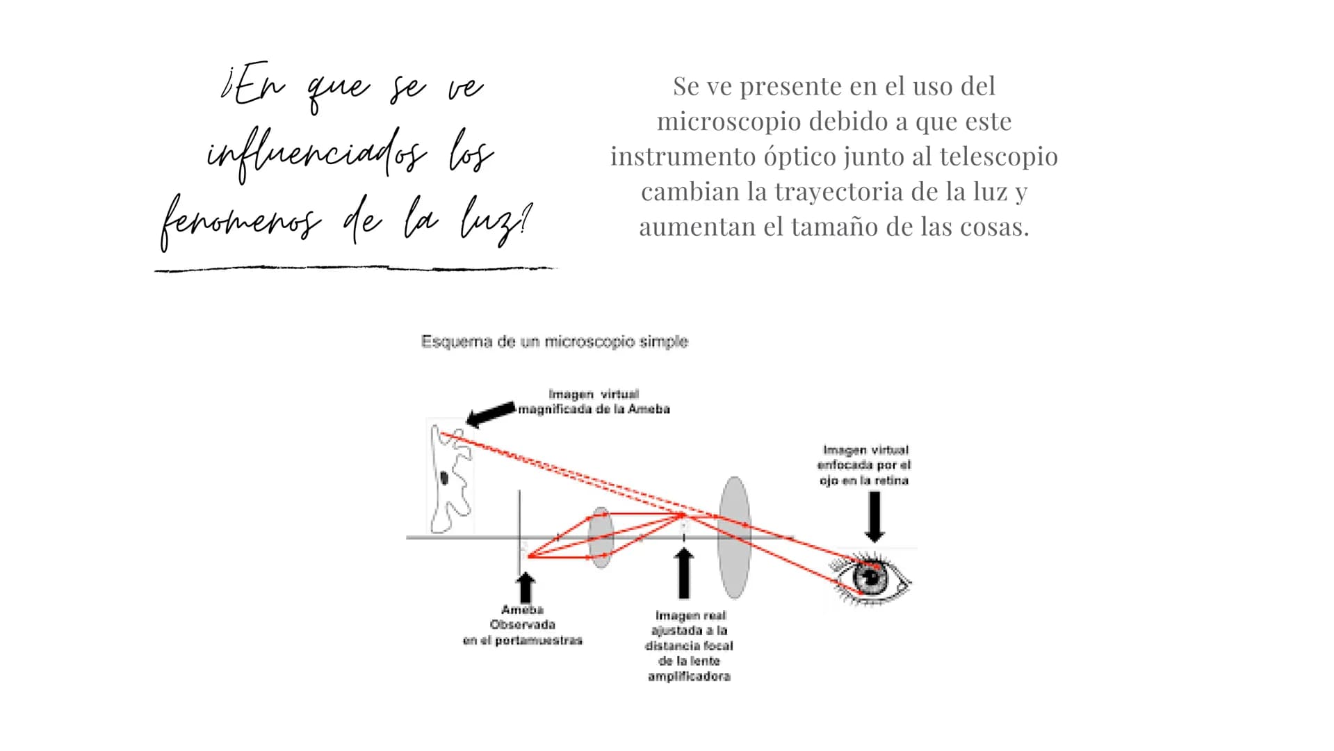 REFLEXION Y REFRACCION DE LA LUZ
Ее піспонсорів
Por Mariana Mejía 1/1/1
3 Que es el microscopio
Etimológicamente hablando la palabra microsc