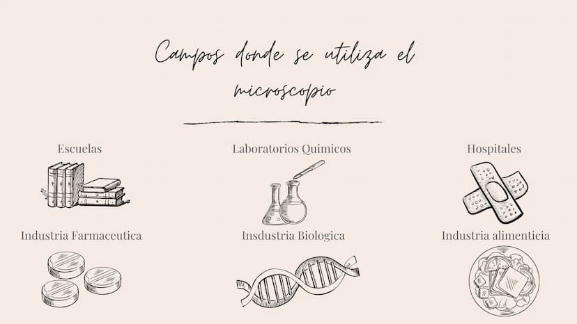 REFLEXION Y REFRACCION DE LA LUZ
Ее піспонсорів
Por Mariana Mejía 1/1/1
3 Que es el microscopio
Etimológicamente hablando la palabra microsc