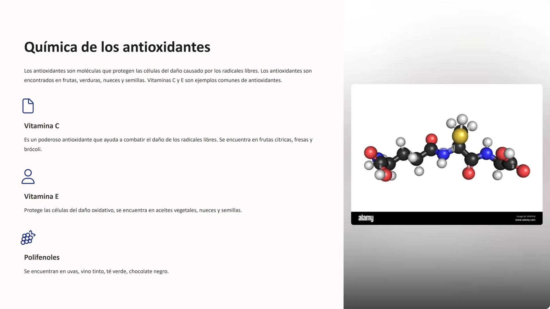 # los alimentos

# funcionales

Los alimentos funcionales son aquellos que, además de sus propiedades
nutricionales básicas, aportan benefic