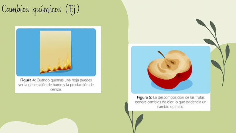 Cambios físicos y
químicos
TRANSFORMACIONES DE
LA MATERIA
UCIÓN EDUCATIVA DIST
CAMILO TORRES
GAIRA
PAZ
TRABAJO Preparando
mi aprendizaje
PRE