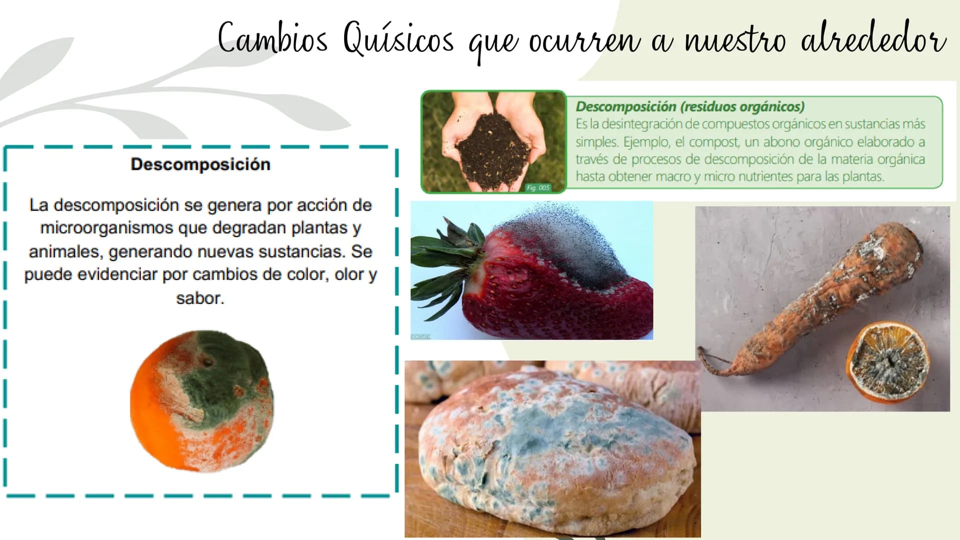 Cambios físicos y
químicos
TRANSFORMACIONES DE
LA MATERIA
UCIÓN EDUCATIVA DIST
CAMILO TORRES
GAIRA
PAZ
TRABAJO Preparando
mi aprendizaje
PRE