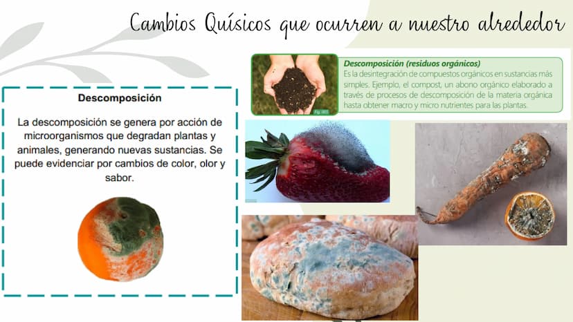 Cambios físicos y
químicos
TRANSFORMACIONES DE
LA MATERIA
UCIÓN EDUCATIVA DIST
CAMILO TORRES
GAIRA
PAZ
TRABAJO Preparando
mi aprendizaje
PRE