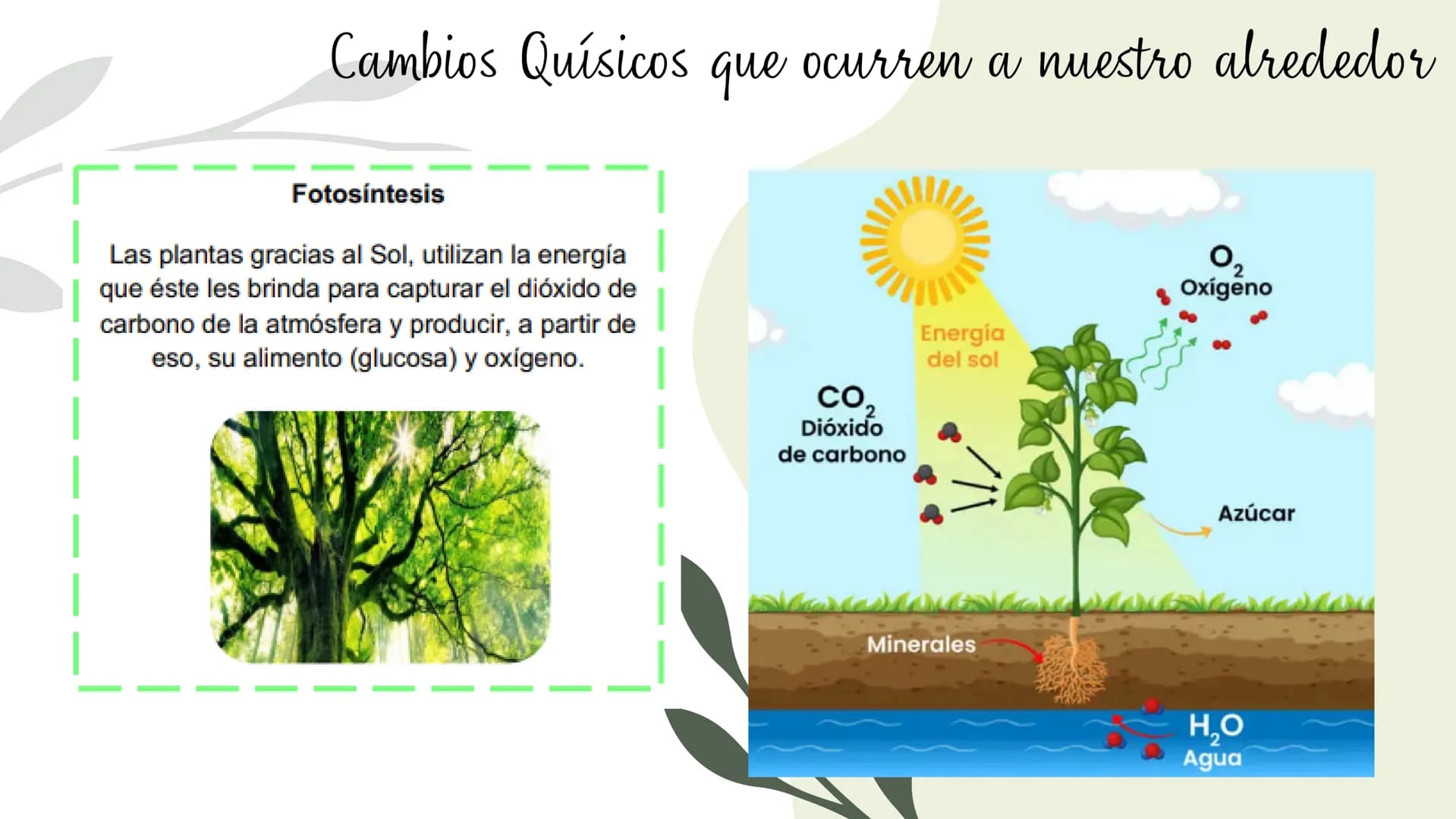 Cambios físicos y
químicos
TRANSFORMACIONES DE
LA MATERIA
UCIÓN EDUCATIVA DIST
CAMILO TORRES
GAIRA
PAZ
TRABAJO Preparando
mi aprendizaje
PRE
