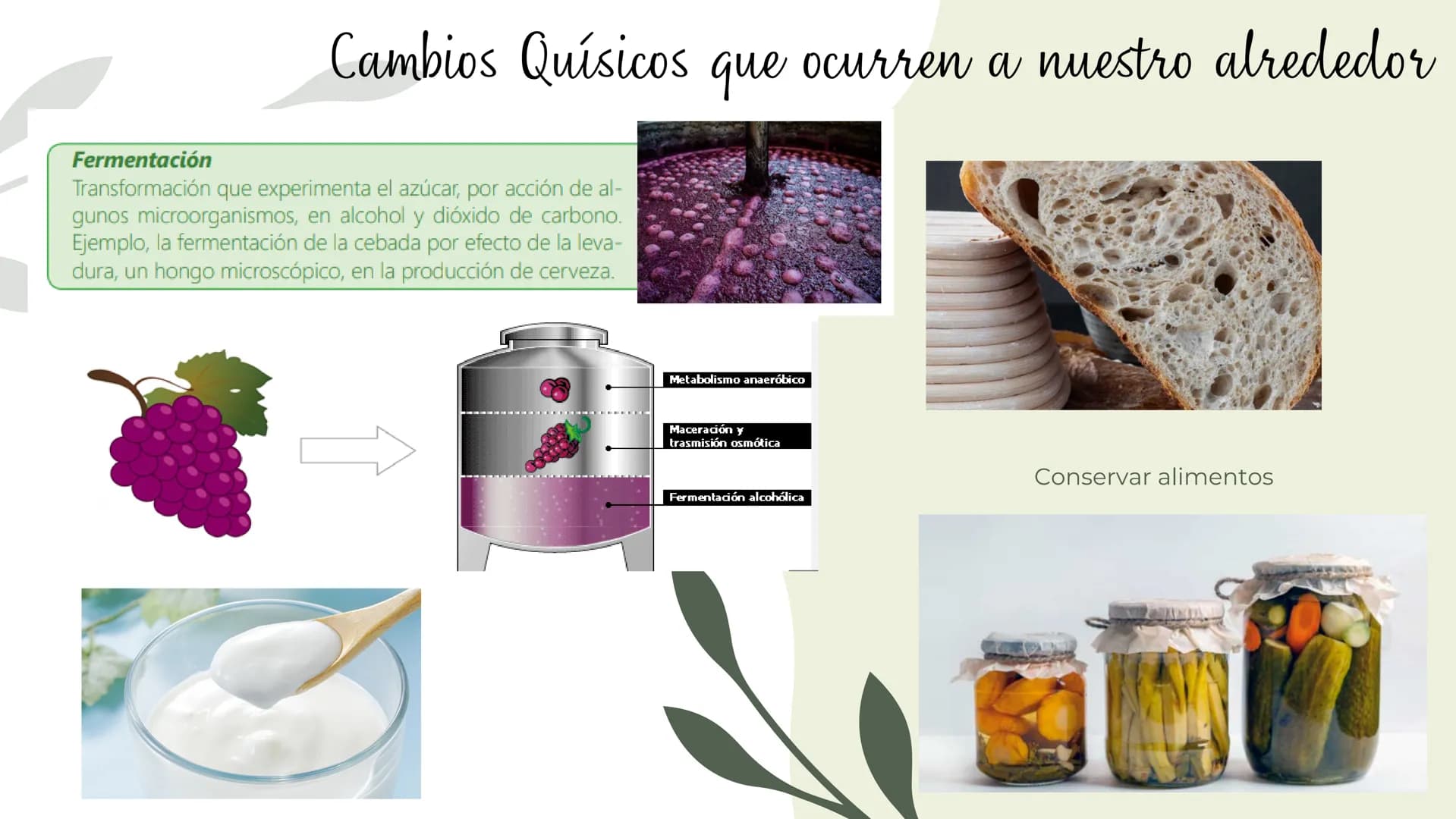 Cambios físicos y
químicos
TRANSFORMACIONES DE
LA MATERIA
UCIÓN EDUCATIVA DIST
CAMILO TORRES
GAIRA
PAZ
TRABAJO Preparando
mi aprendizaje
PRE