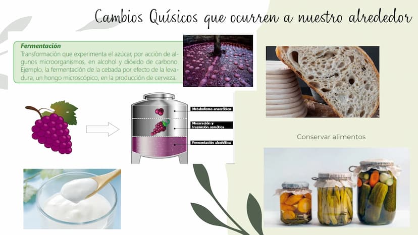 Cambios físicos y
químicos
TRANSFORMACIONES DE
LA MATERIA
UCIÓN EDUCATIVA DIST
CAMILO TORRES
GAIRA
PAZ
TRABAJO Preparando
mi aprendizaje
PRE