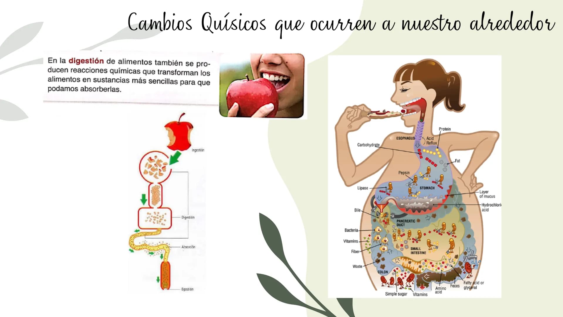 Cambios físicos y
químicos
TRANSFORMACIONES DE
LA MATERIA
UCIÓN EDUCATIVA DIST
CAMILO TORRES
GAIRA
PAZ
TRABAJO Preparando
mi aprendizaje
PRE