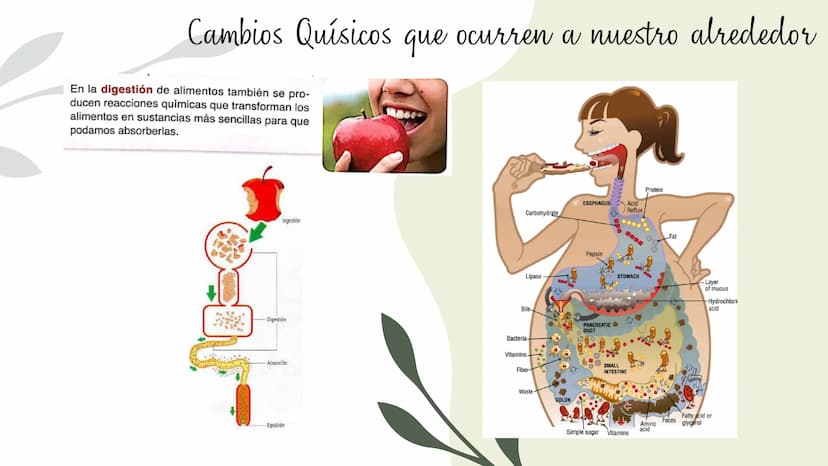 Cambios físicos y
químicos
TRANSFORMACIONES DE
LA MATERIA
UCIÓN EDUCATIVA DIST
CAMILO TORRES
GAIRA
PAZ
TRABAJO Preparando
mi aprendizaje
PRE