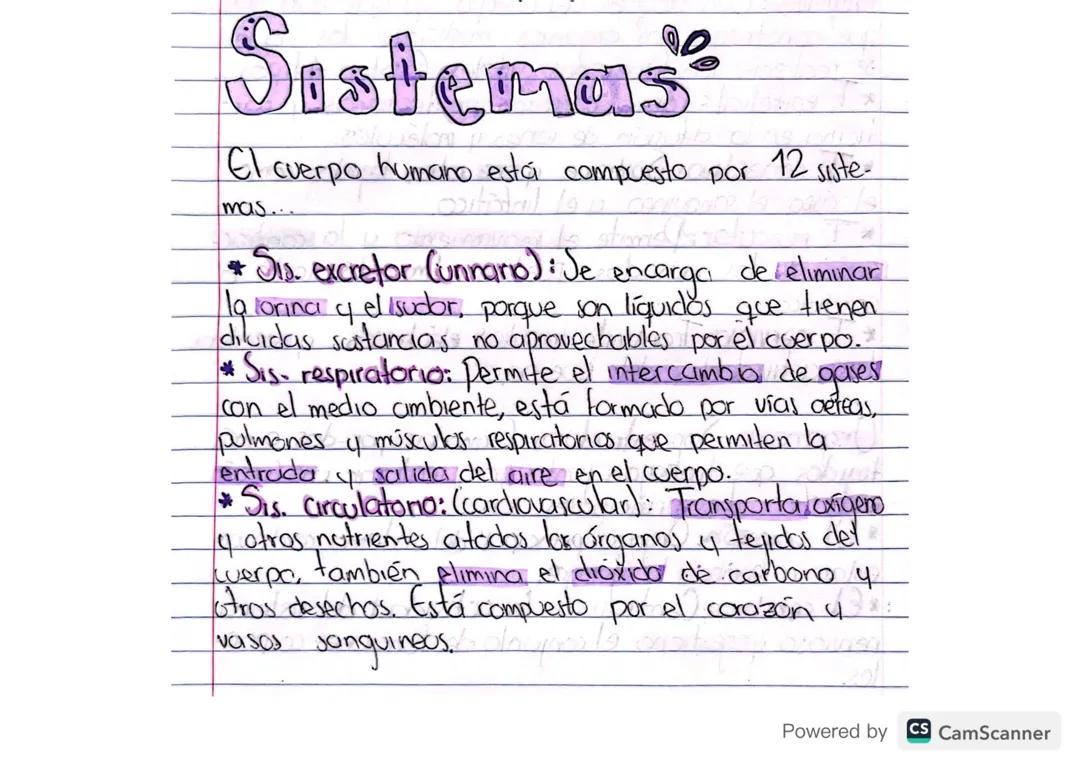 Sistemas del cuerpo humano