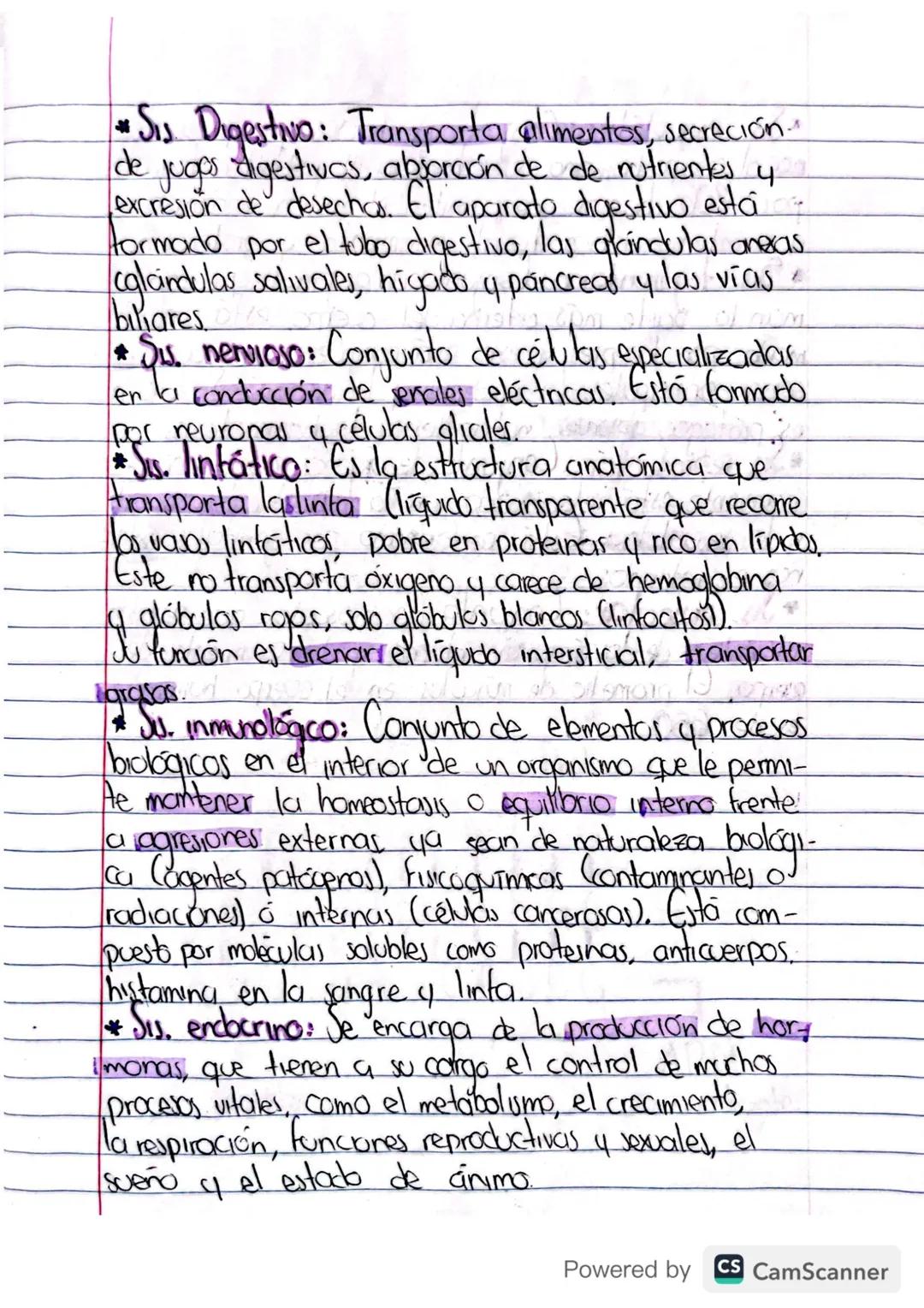 # Sistemas

El cuerpo humano está compuesto por 12 siste-
mas...

* Sis. excretor (unnario): Je encarga de eliminar
la lorina y el sudor, po