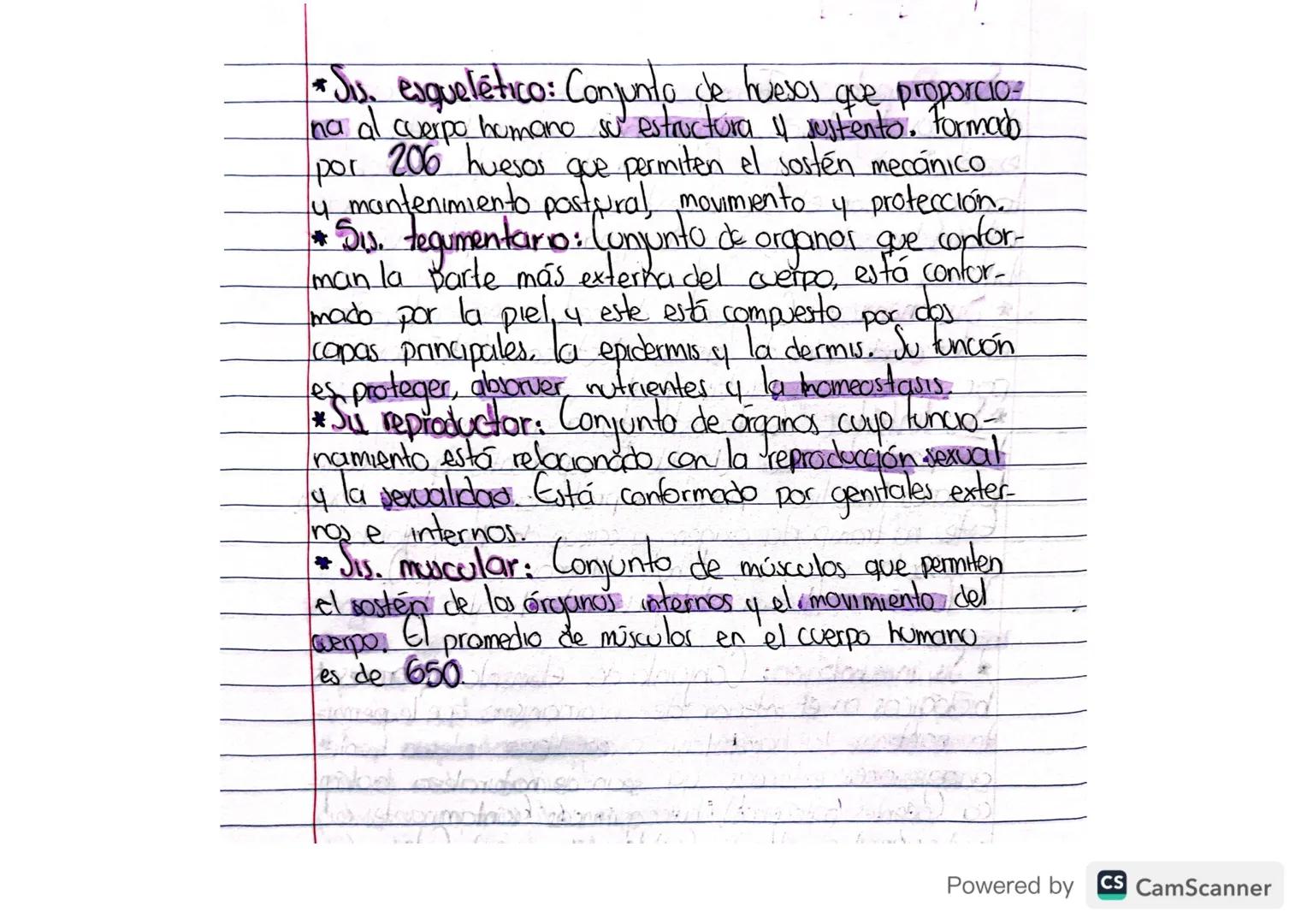 # Sistemas

El cuerpo humano está compuesto por 12 siste-
mas...

* Sis. excretor (unnario): Je encarga de eliminar
la lorina y el sudor, po