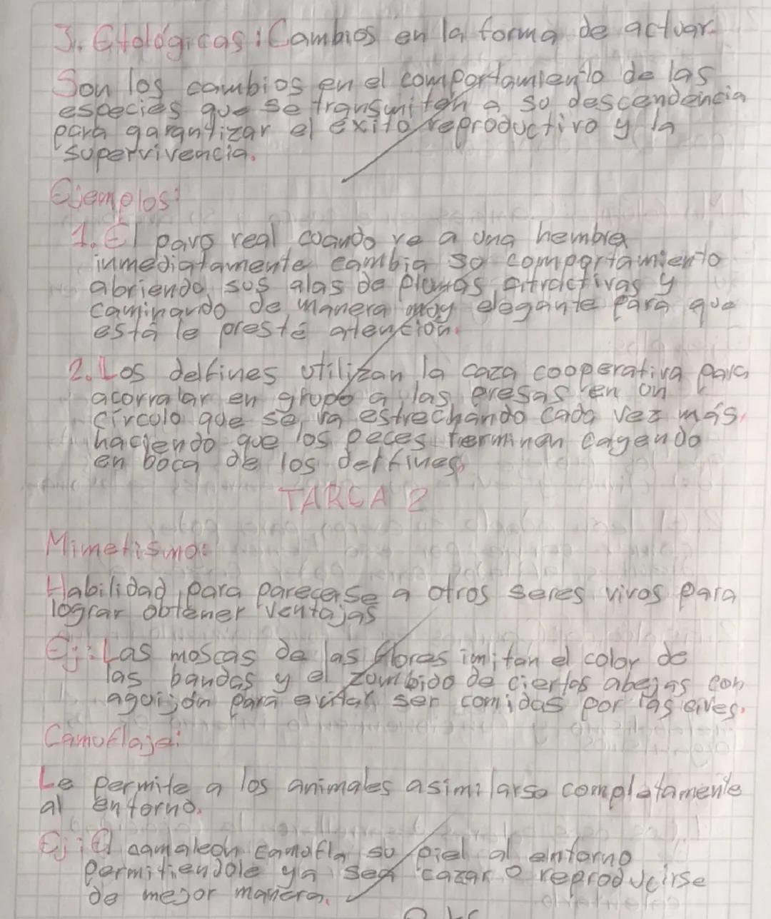 # Tipos De Adaptacionesi

1. Morfological Cambies en el cuerpo y su anatomía.

Es cuando varía of cuerpo de la especie, cambia
Su anatomía y