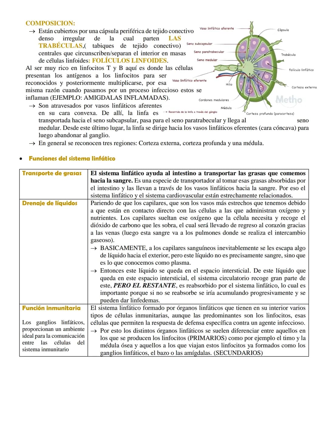 SISTEMA LINFÁTICO
• Definición
El sistema linfático es una red de conductos y órganos por todo el cuerpo. Esta red transporta, entre
los tej