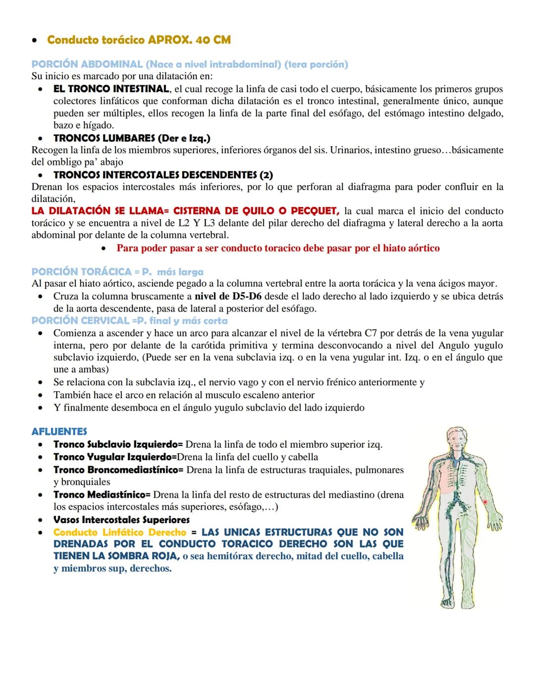 SISTEMA LINFÁTICO
• Definición
El sistema linfático es una red de conductos y órganos por todo el cuerpo. Esta red transporta, entre
los tej