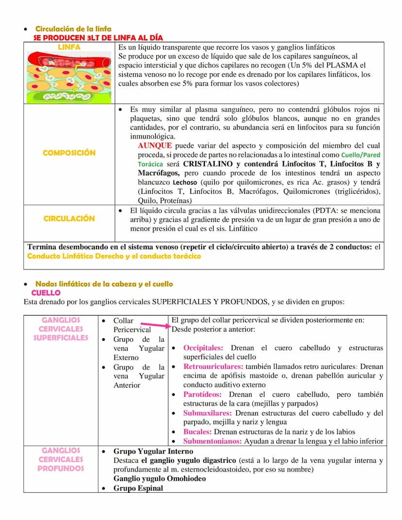 SISTEMA LINFÁTICO
• Definición
El sistema linfático es una red de conductos y órganos por todo el cuerpo. Esta red transporta, entre
los tej