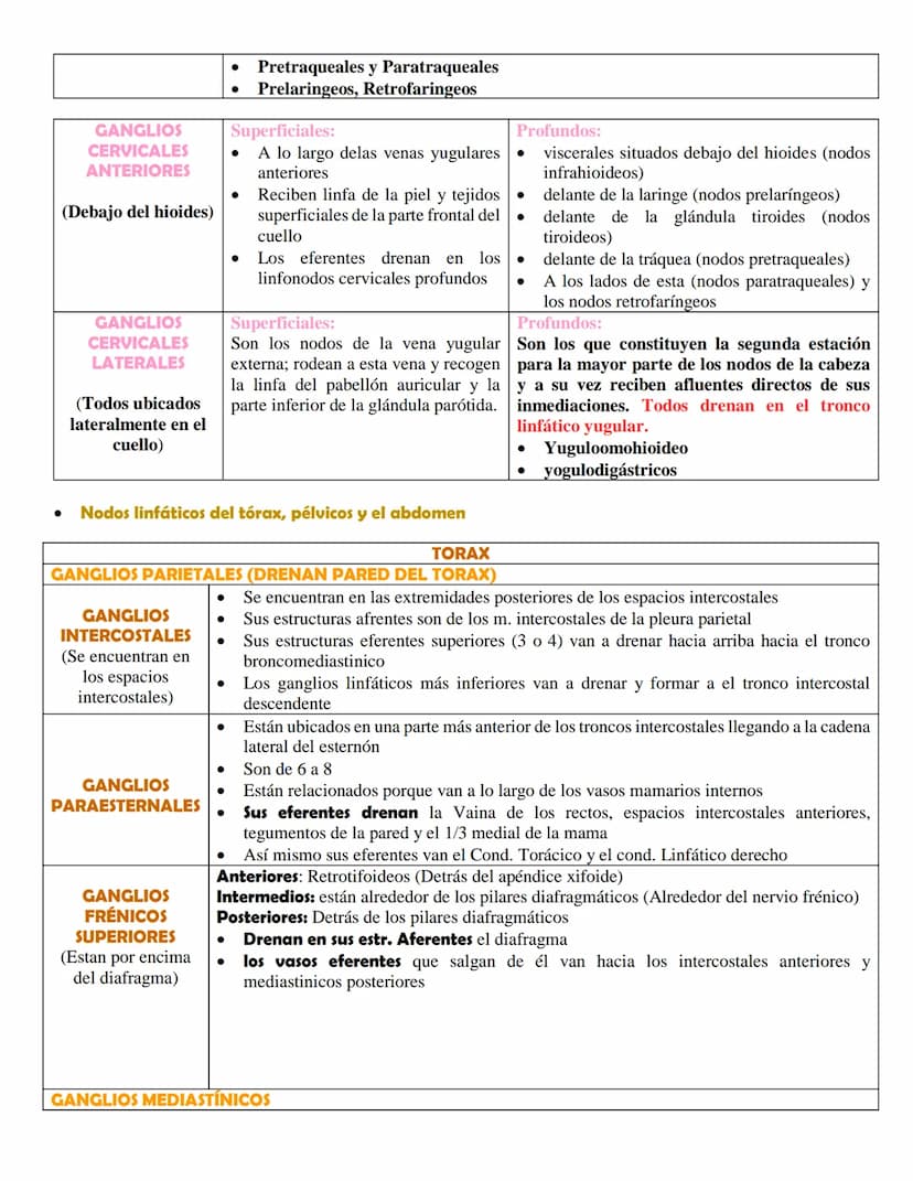 SISTEMA LINFÁTICO
• Definición
El sistema linfático es una red de conductos y órganos por todo el cuerpo. Esta red transporta, entre
los tej