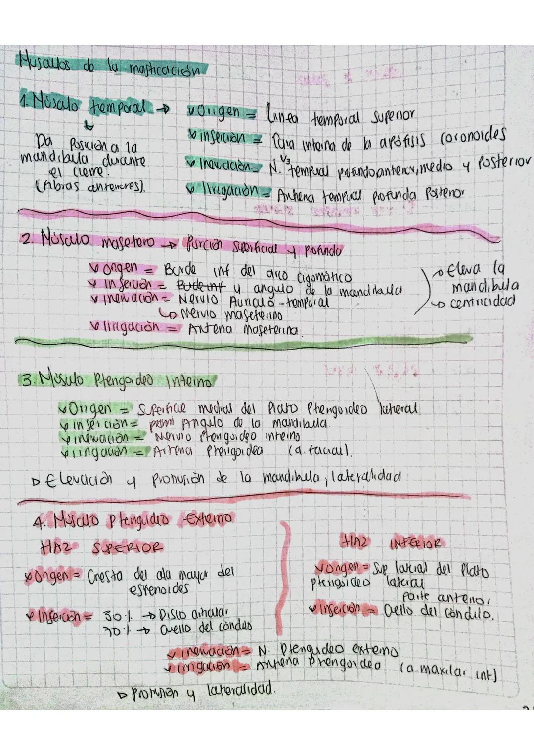 Musculos do la masticación.
1. Nosalo temporal vorigen = linea temporal supenor
Da posición a la
mandibula dercente.
el ceme
(Abras antencre