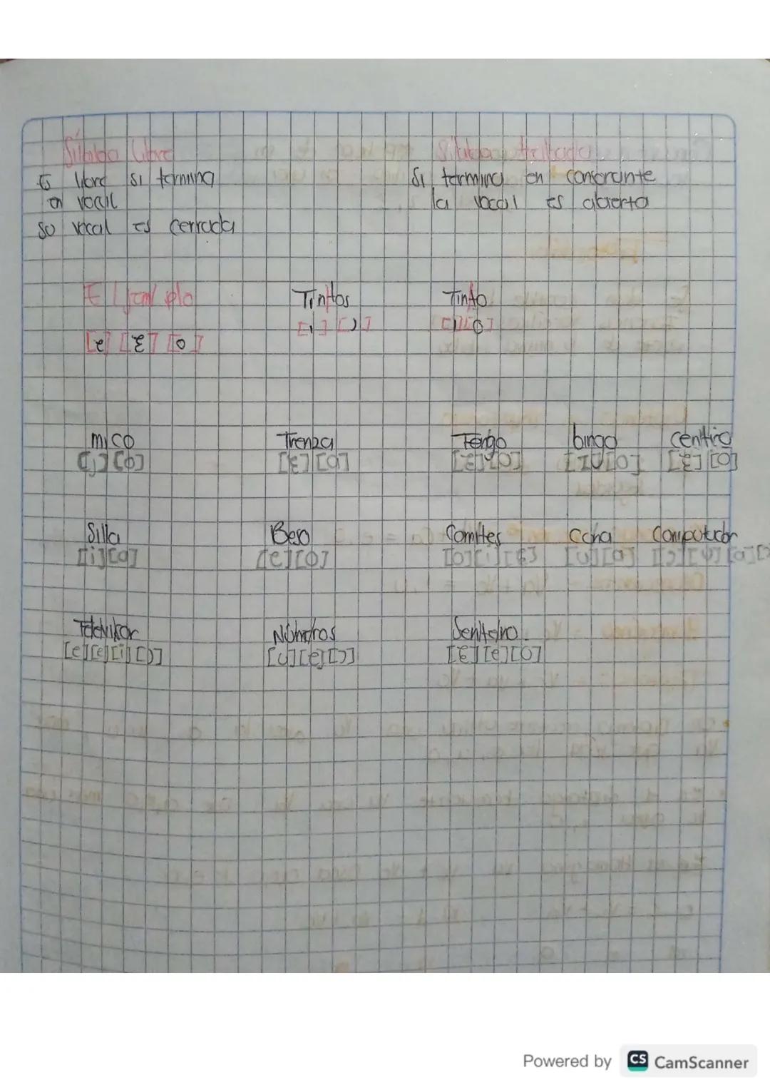6 hore si forming
Vocal
So vocal
es cerrada
e
ہو
Si terming on
la
Vocal
Consorcinte
es abierta
Tintos
Tinto
mico
Trenza
Tengo
birod
11010]
c