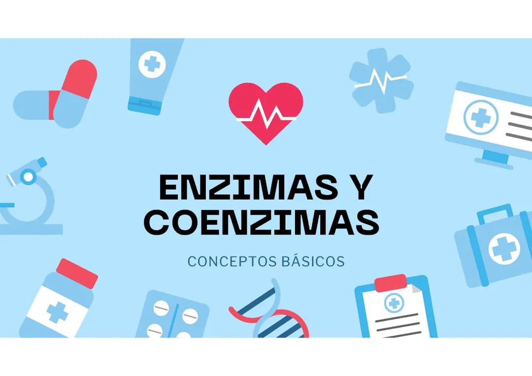 Todo sobre las Enzimas: Tipos, Funciones y Propiedades