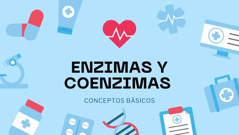 M
S ENZIMAS Y
+
COENZIMAS
CONCEPTOS BÁSICOS
+
+ Bioquimica
QUE ES ?
Es una ciencia que estudia
reacciones y procesos de
los componentes quim