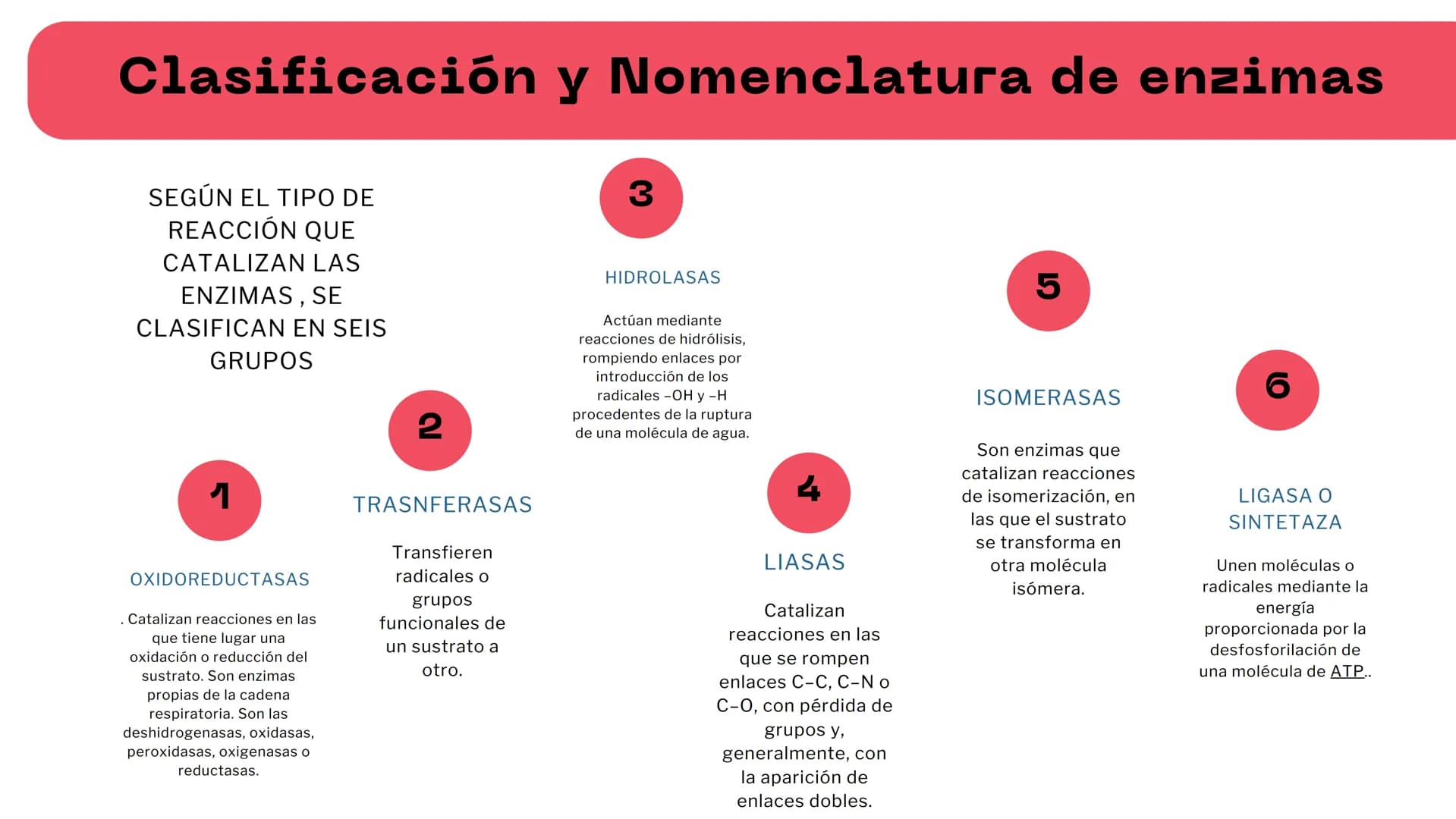 M
S ENZIMAS Y
+
COENZIMAS
CONCEPTOS BÁSICOS
+
+ Bioquimica
QUE ES ?
Es una ciencia que estudia
reacciones y procesos de
los componentes quim