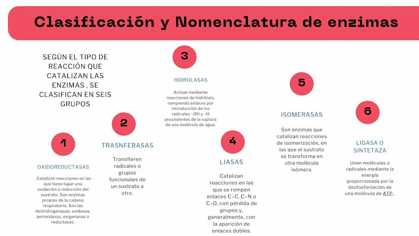 M
S ENZIMAS Y
+
COENZIMAS
CONCEPTOS BÁSICOS
+
+ Bioquimica
QUE ES ?
Es una ciencia que estudia
reacciones y procesos de
los componentes quim