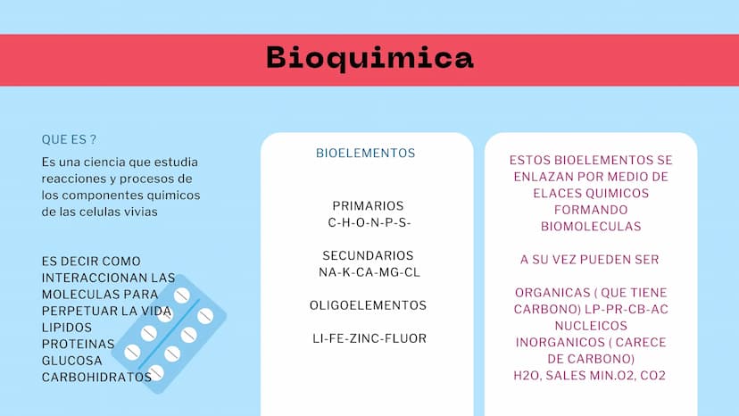 M
S ENZIMAS Y
+
COENZIMAS
CONCEPTOS BÁSICOS
+
+ Bioquimica
QUE ES ?
Es una ciencia que estudia
reacciones y procesos de
los componentes quim