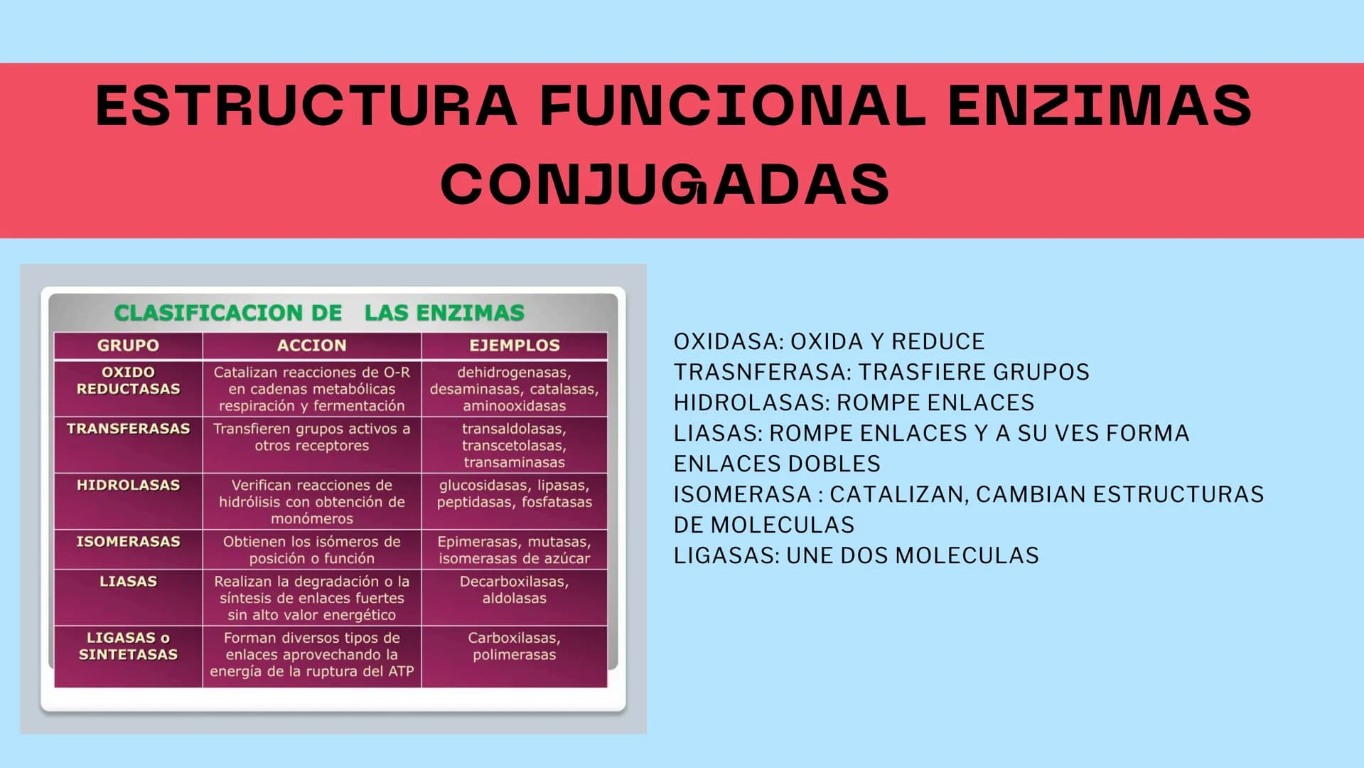 M
S ENZIMAS Y
+
COENZIMAS
CONCEPTOS BÁSICOS
+
+ Bioquimica
QUE ES ?
Es una ciencia que estudia
reacciones y procesos de
los componentes quim