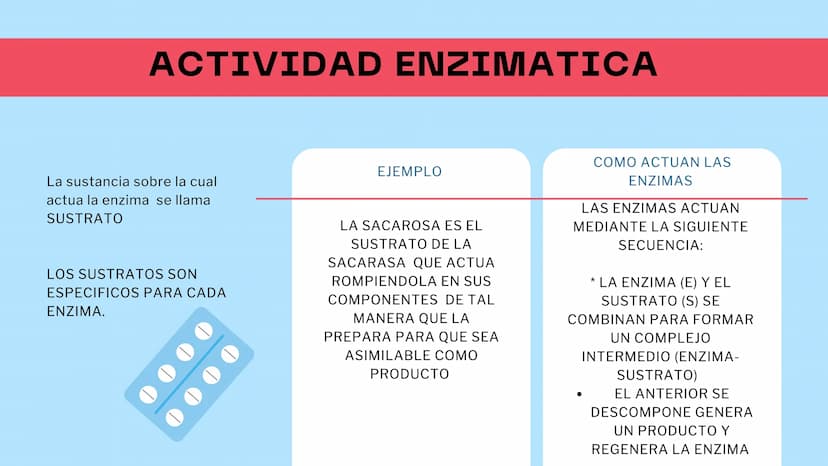 M
S ENZIMAS Y
+
COENZIMAS
CONCEPTOS BÁSICOS
+
+ Bioquimica
QUE ES ?
Es una ciencia que estudia
reacciones y procesos de
los componentes quim