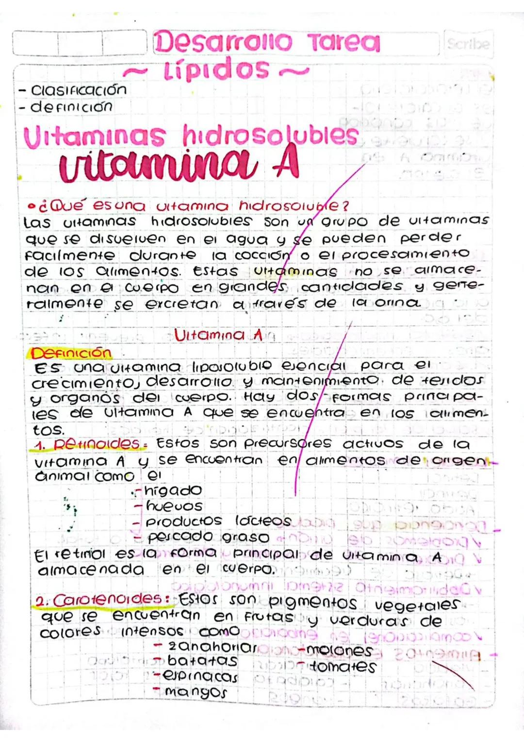 Apuntes sobre la vitamina A