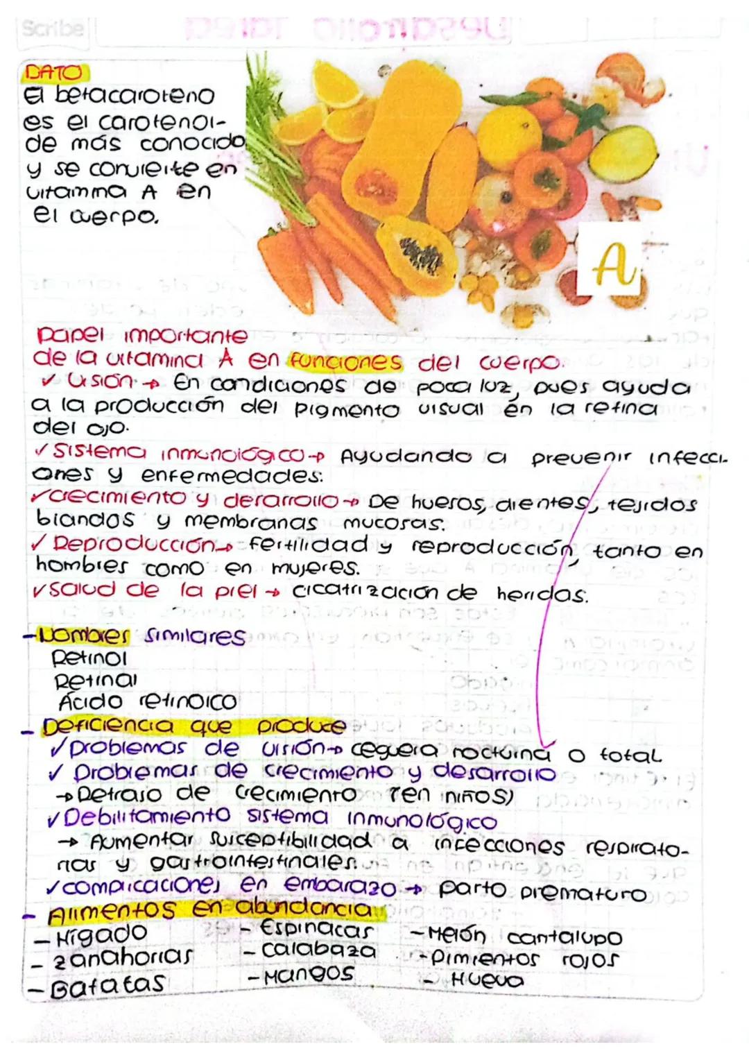 # Desarrollo Tarea

~ Lípidos~

Scribe

- Clasificación
- definición

# Vitaminas hidrosolubles

# vitamina A

• ¿Qué es una vitamina hidros