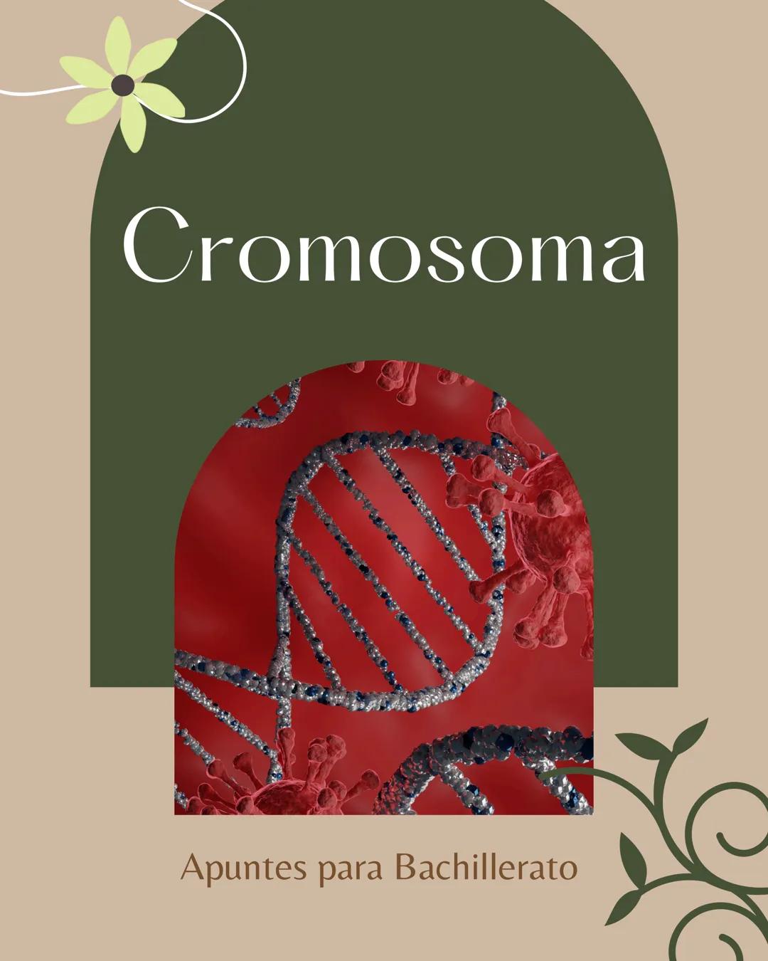 Cromosoma
Apuntes para Bachillerato TEMA/MATERIA
SS SO PL
DIA MES AÑO
Cromosoma:
Imente 2
Tiene principalme
partes. En el interior
de la cél