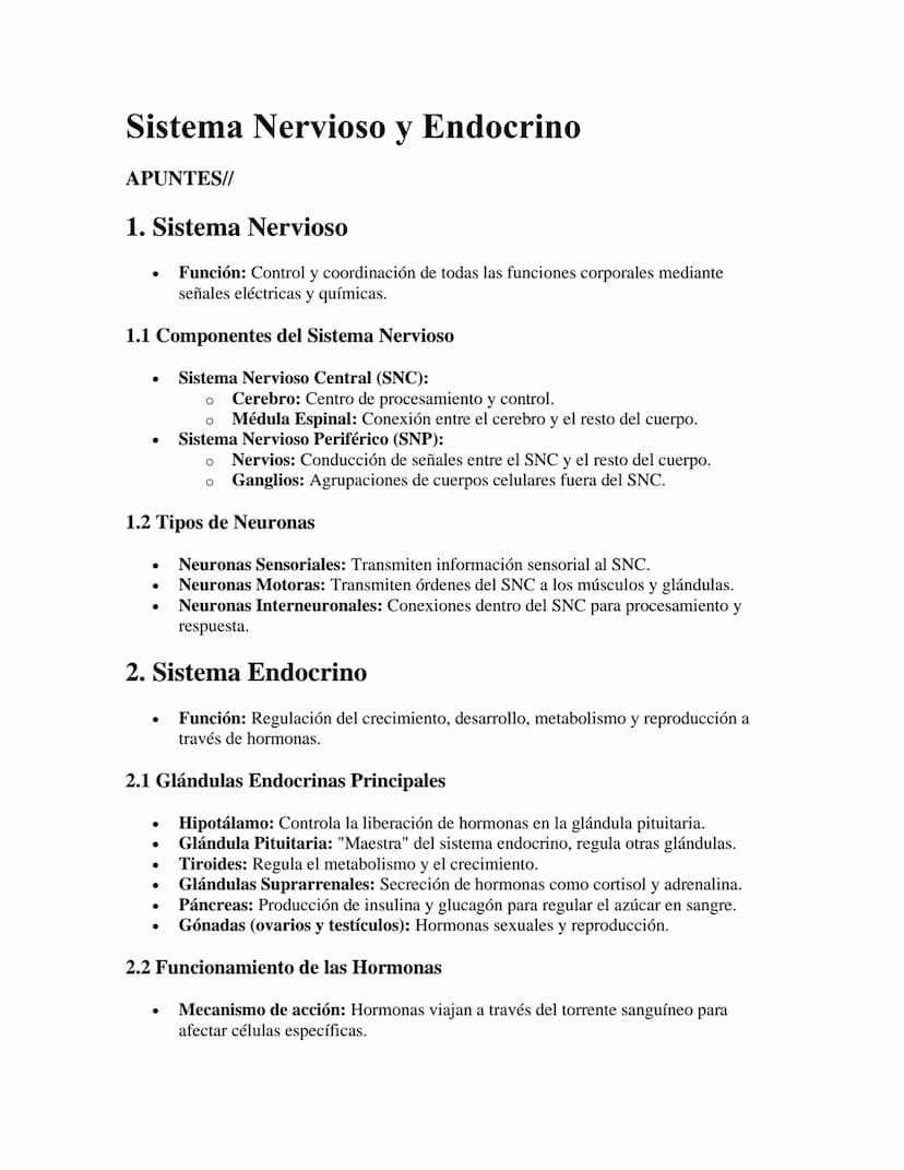 Sistema Nervioso y Endocrino
APUNTES//
1. Sistema Nervioso
•
Función: Control y coordinación de todas las funciones corporales mediante
seña