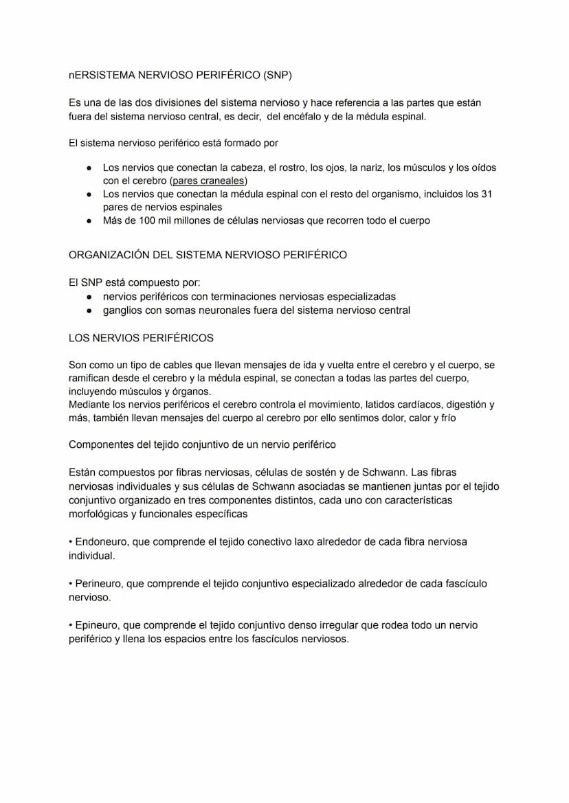 nERSISTEMA NERVIOSO PERIFÉRICO (SNP)
Es una de las dos divisiones del sistema nervioso y hace referencia a las partes que están
fuera del si