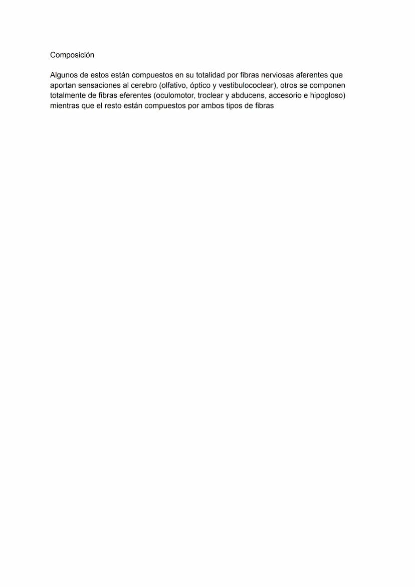 nERSISTEMA NERVIOSO PERIFÉRICO (SNP)
Es una de las dos divisiones del sistema nervioso y hace referencia a las partes que están
fuera del si