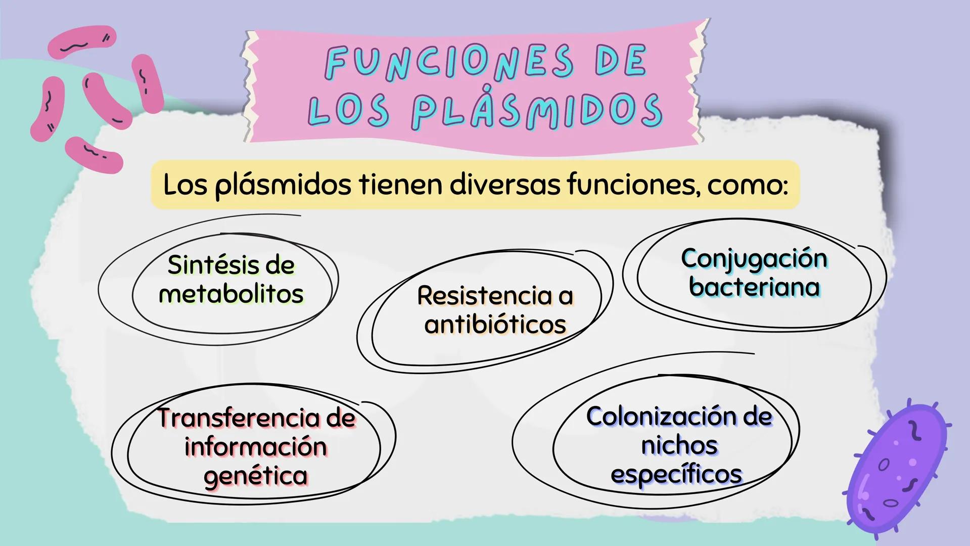 # PLÁSMIDOS y
# VACUOLA # PLASMIDOS

# CONCEPTO

Son pequeñas moléculas de
ADN circular que se
encuentran en células
bacterianas y algunas c