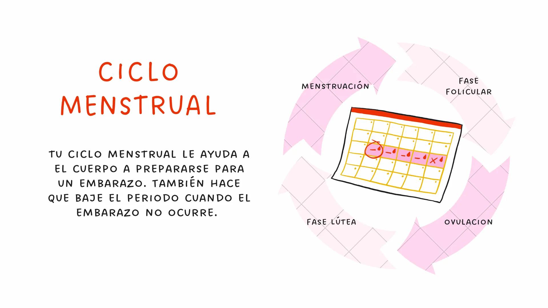 # MENSTRUACIÓN

MONTHLY ¿Qué es la
menstruación?

LA MENSTRUACIÓN (TAMBIÉN LLAMADA
PERIODO O REGLA) ES CUANDO LA
SANGRE Y EL TEJIDO QUE CUBR