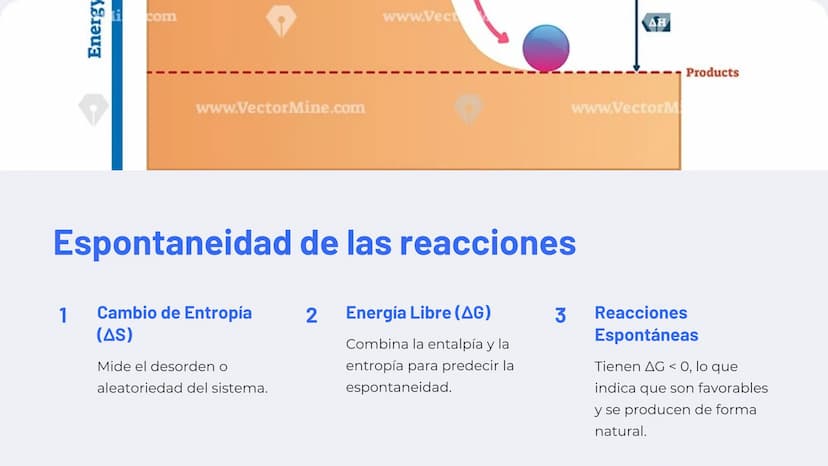 la Termoquímica
La termoquímica estudia los intercambios de energía que
acompañan a las reacciones químicas. Comprende
conceptos clave como 