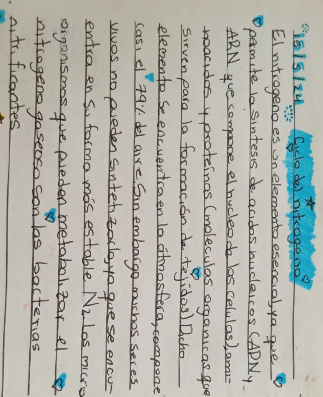 ☆
♡
15/5/24  Ciclo del nitrogeno
El nitrogeno es un elemento esencial, ya que
permite la Sintesis de acidos nucleicos (ADNY
ARN que compone 