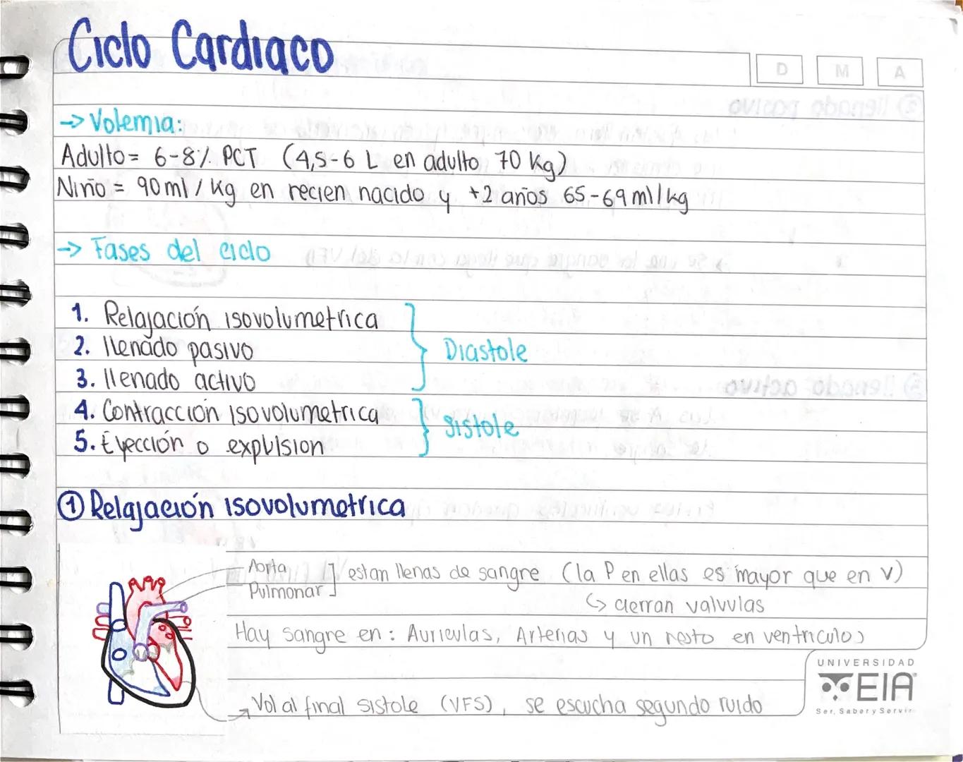 Ciclo Cardiacomon
→Volemia:
Adulto= 6-8% PCT (4,5-6 L en adulto 70 kg)
Niño = 90 ml/kg en recien nacido 4 + 2 años 65-69 milkg
→Fases del ci