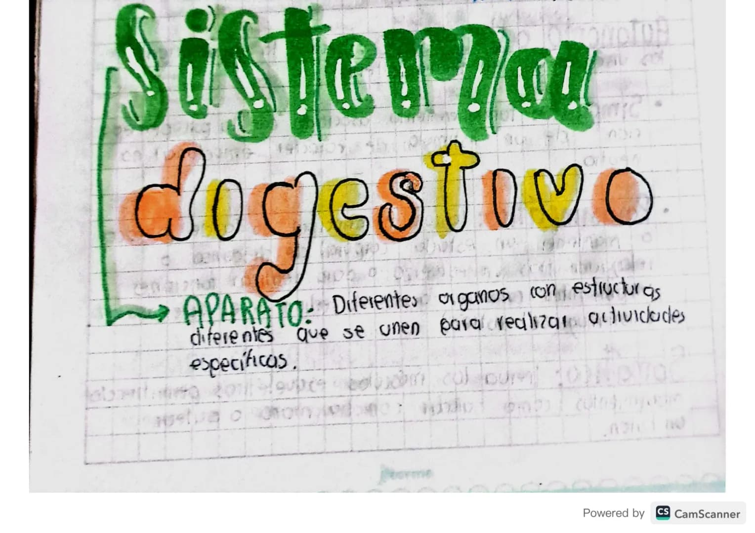 Sistenza
digestivo
APARATO: Diferentes organos con estructuras
diferentes que se unen para realizar actividades
especificas.
ألوان
me
Powere