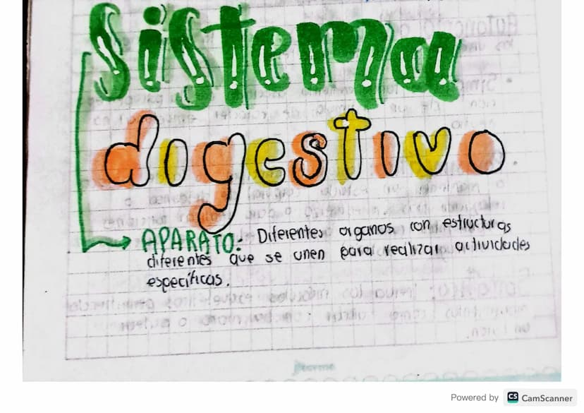 Sistenza
digestivo
APARATO: Diferentes organos con estructuras
diferentes que se unen para realizar actividades
especificas.
ألوان
me
Powere
